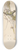 Friedrich Carl von Scheidlin - Study of Tree Trunk with Branches and Mushrooms 8.25 inch art skate deck