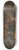 Alessandro Magnasco - The Raising of Lazarus 8.25 inch art skate deck