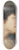 Gabriel von Max - Vertrumt 8.25 inch art skate deck