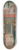 Alesso di Benozzo - The Annunciation 8.25 inch art skate deck