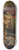 Gaspare Diziani - The Infant Moses Trampling On Pharaohs Crown 8.25 inch art skate deck