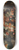 Gaspar Peeter Verbruggen the Younger - Fontaine aux fleurs 8.25 inch art skate deck