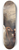 George Dawe - Genevieve 8.25 inch art skate deck