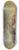 George Edward Lodge - Grey Junglefowl 8.25 inch art skate deck