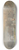 George Harvey - Regents Park 8.25 inch art skate deck