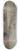 George Inness - Home at Montclair 8.25 inch art skate deck