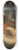 Georgius Jacobus Johannes van Os - Vruchten 8.25 inch art skate deck