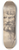 Gilles Demarteau the Elder - Neptune 8.25 inch art skate deck