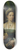 Girolamo Da Carpi - Portrait of a Lady 8.25 inch art skate deck