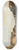 Giuseppe Bernardino Bison - Venice Canal Grande 8.25 inch art skate deck