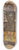Alexandre Jacovleff - Tuba, chef Matchaga, Niangara, Haut Ouelle 8.25 inch art skate deck