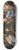 Godfried Schalcken - The Parable Of The Lost Piece Of Silver 8.25 inch art skate deck