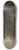 Govert Flinck - Mercury, Argus and Io 8.25 inch art skate deck