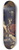 Guercino - Jacob Blessing the Sons of Joseph 8.25 inch art skate deck