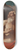 Guercino - Saint Jerome 8.25 inch art skate deck
