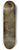 Guidoccio Cozzarelli - Saint Bernardin of Siena 8.25 inch art skate deck