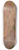 Gunnar Mauritz Widforss - A View of the Grand Canyon 8.25 inch art skate deck