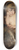 Gyula Stetka - Lost in Thought 8.25 inch art skate deck