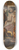 Gyula Tornai - Balinese Dancer 8.25 inch art skate deck
