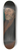 Hans Holbein The Younger - Erasmus of Rotterdam 8.25 inch art skate deck