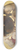 Hans Makart - Rembrandt Harmenszoon van Rijn 8.25 inch art skate deck