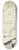 Hendrik Willem Van Loon - What the Chaldeans learned about the heavens 8.25 inch art skate deck