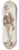 Henri de Toulouse-Lautrec - Un Dcav 8.25 inch art skate deck