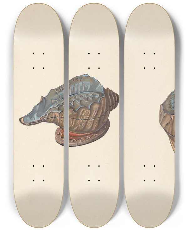Triptych art skateboard deck of William O Fletcher Shell Out Bank by William O Fletcher