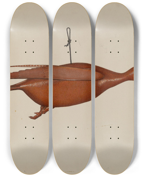 Triptych art skateboard deck of Malcolm Hackney Flying Duck by Malcolm Hackney