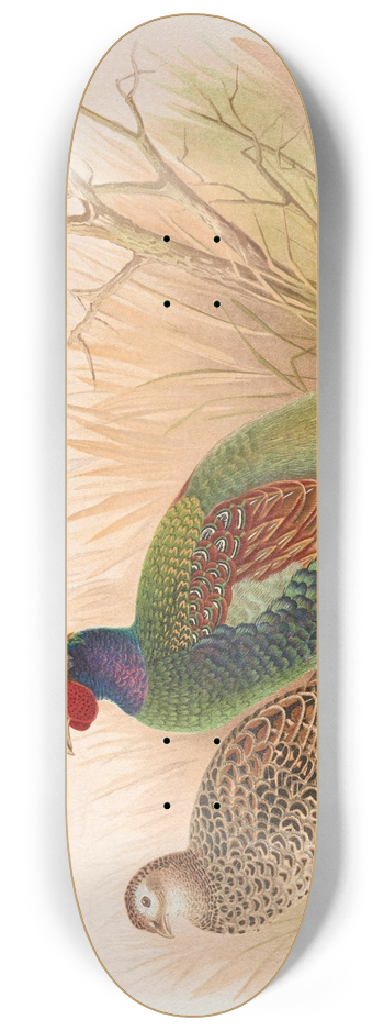Henry Jones - Green Japanese Pheasant 8.25 inch art skate deck