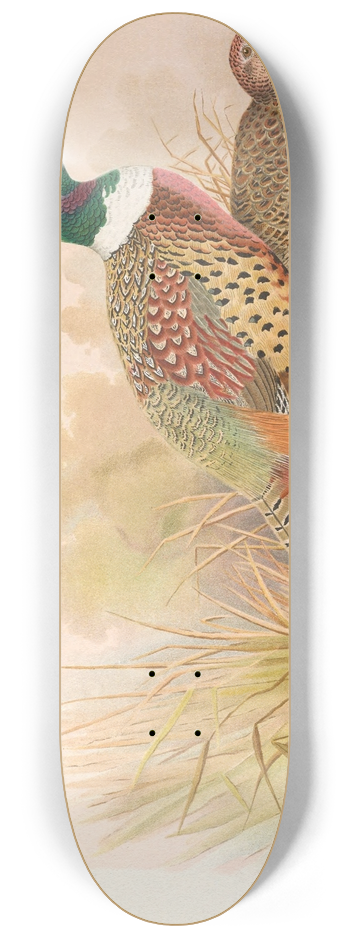 Henry Jones - Kobdo Pheasant 8.25 inch art skate deck