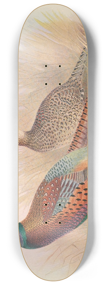 Henry Jones - Strauchs Pheasant 8.25 inch art skate deck