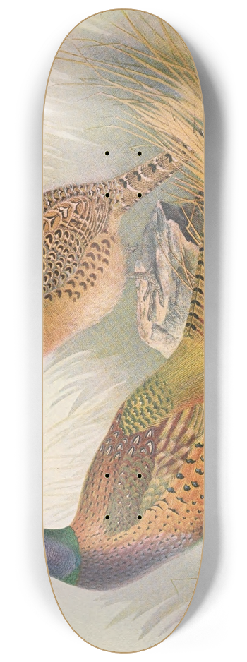 Henry Jones - Tarim Pheasant 8.25 inch art skate deck