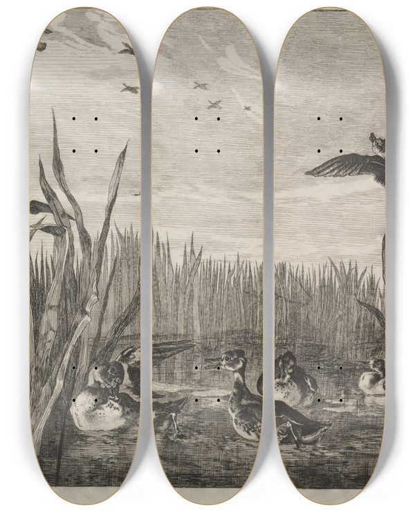 Triptych art skateboard deck of Flix Bracquemond Teal by Felix Bracquemond (1833-1914)