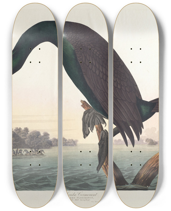 Triptych art skateboard deck of John James Audubon Florida Cormorant by John James Audubon (1785-1851)