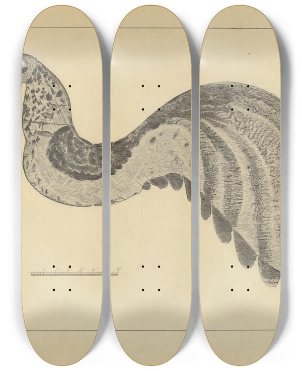 Triptych art skateboard deck of Gordon Sanborn Weather Vane by Gordon Sanborn