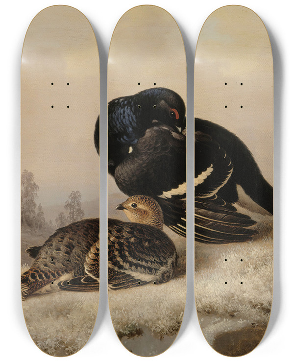 Triptych art skateboard deck of Ferdinand Von Wright Black Grouse Cock And Hen by Ferdinand von Wright (1822-1906)
