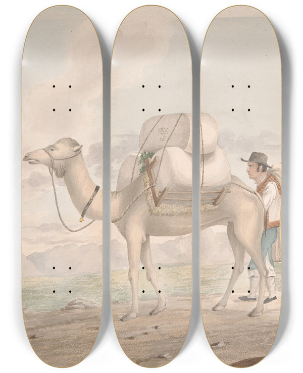 Triptych art skateboard deck of Alfred Diston Loaded Camel by Alfred Diston (1793-1861)