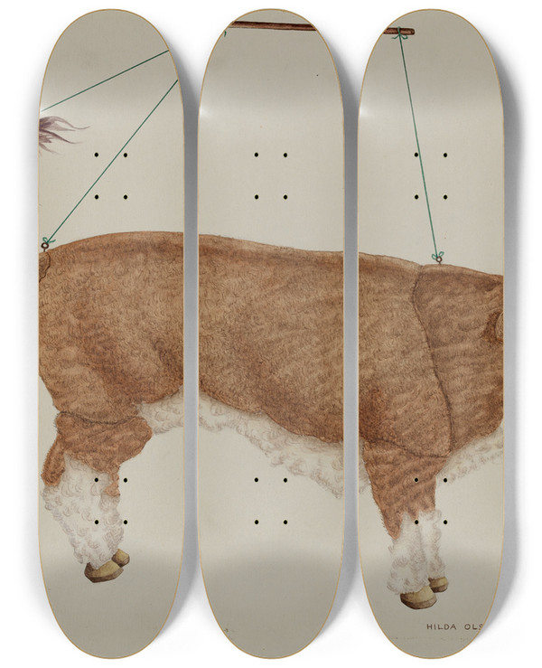 Triptych art skateboard deck of Hilda Olson Puppet Bull by Hilda Olson