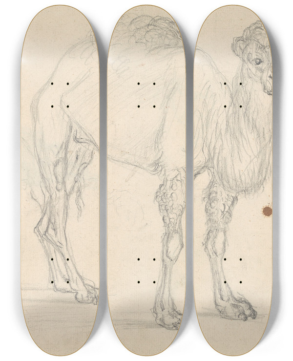 Triptych art skateboard deck of Sawrey Gilpin Study Of A Camel Facing Right by Sawrey Gilpin (1733-1807)