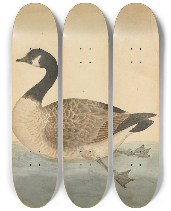 Triptych art skateboard deck of James Sowerby A Goose by James Sowerby (1757-1822)