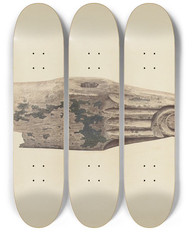 Triptych art skateboard deck of Henry Tomaszewski Whiffle Tree End by Henry Tomaszewski