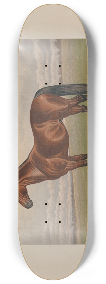 Henry Stull - Harold 8.25 inch art skate deck