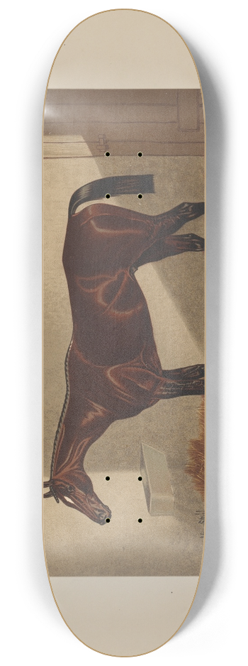 Henry Stull - Hindoo 8.25 inch art skate deck