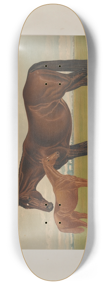 Henry Stull - Nevada 8.25 inch art skate deck