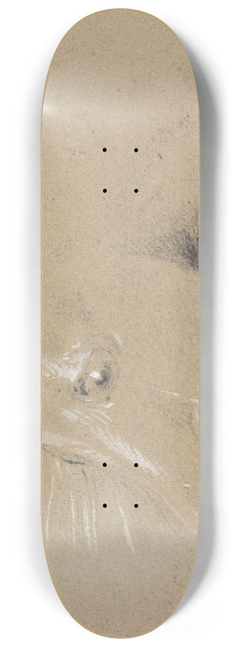 Henry Thomas Alken - Head and Neck of a Frightened Horse, Left Profile 8.25 inch art skate deck