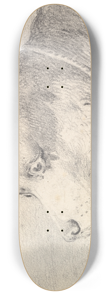 Henry Thomas Alken - Head and Shoulders of a Collie Dog, Wearing a Leash or Tether, Sketchy Sheep in Background 8.25 inch art skate deck
