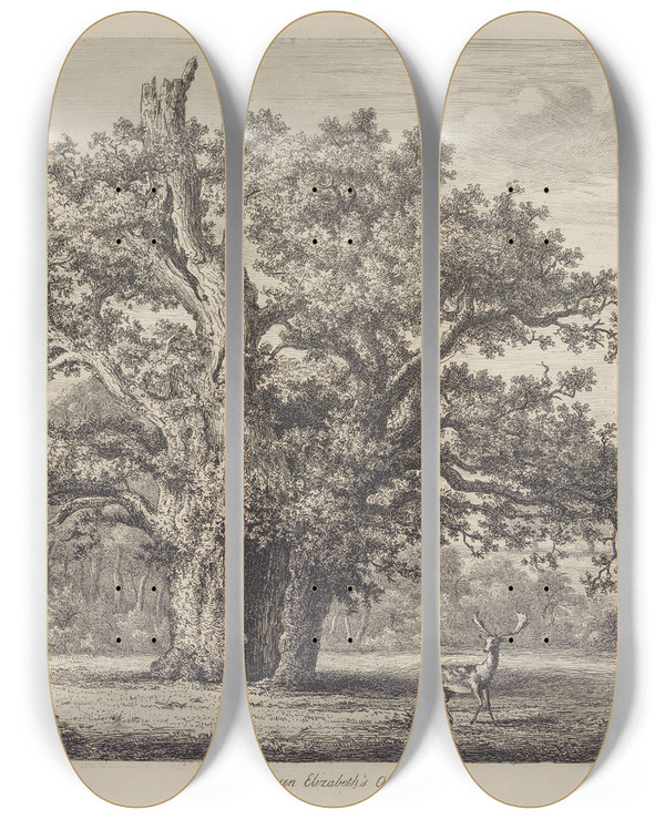Triptych art skateboard deck of Jacob George Strutt Queen Elizabeths Oak by Jacob George Strutt (1784-1867)