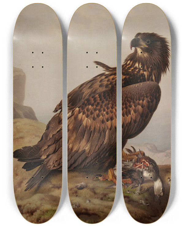 Triptych art skateboard deck of Ferdinand Von Wright Whitetailed Eagle With Its Prey by Ferdinand von Wright (1822-1906)