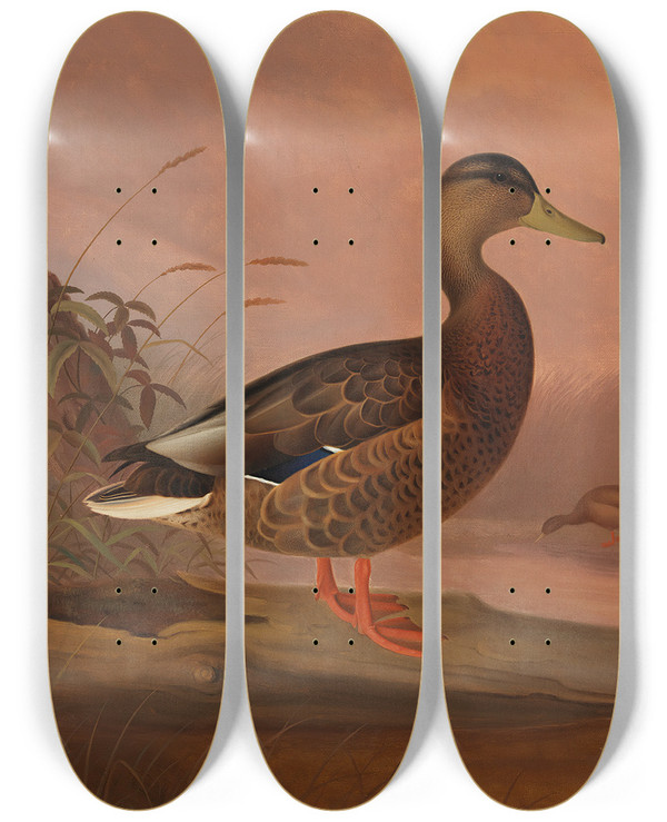 Triptych art skateboard deck of Ferdinand Von Wright Mallard by Ferdinand von Wright (1822-1906)